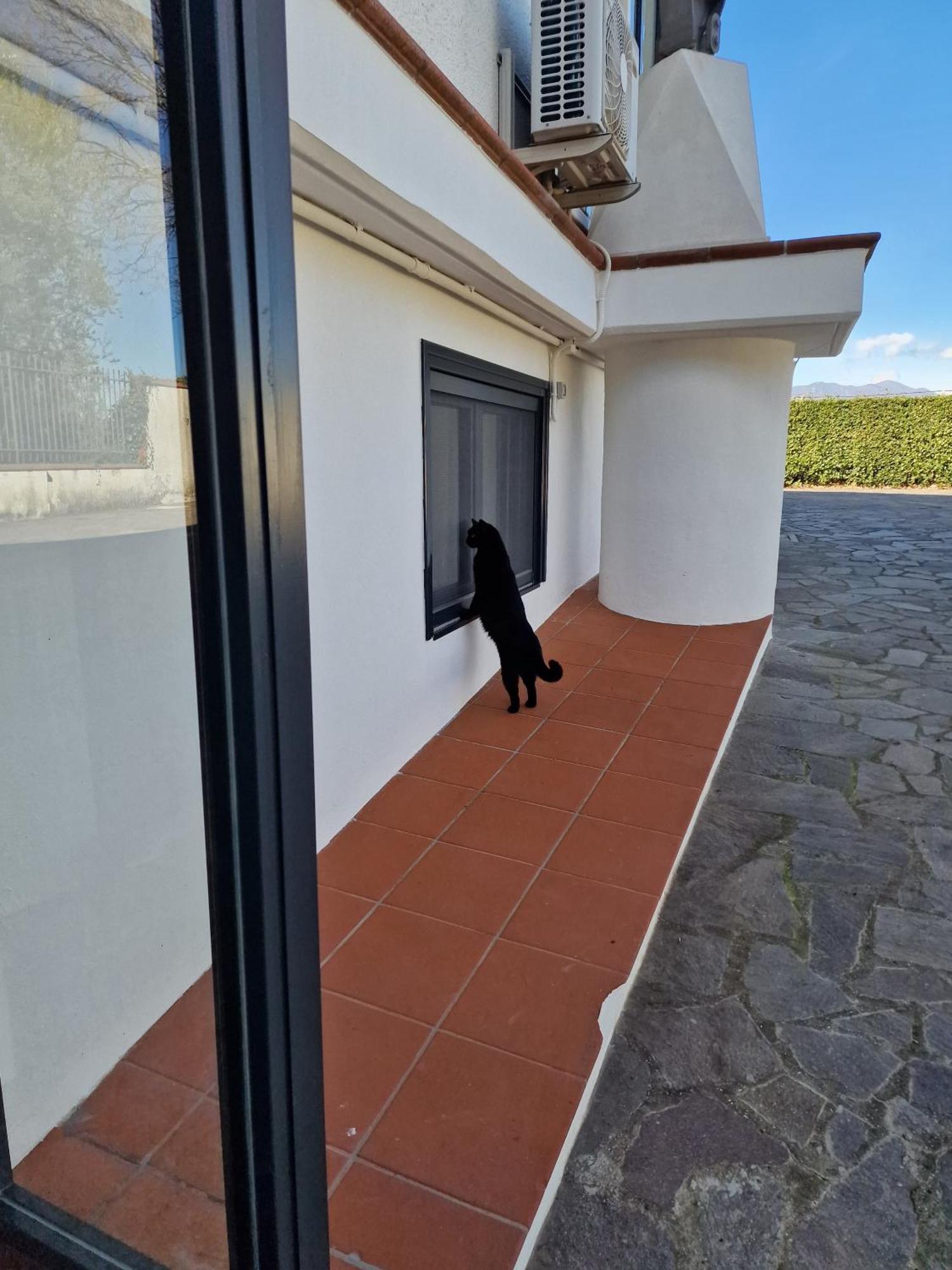 Villa Mandetta B&B Santo Stefano del Sole Exterior photo