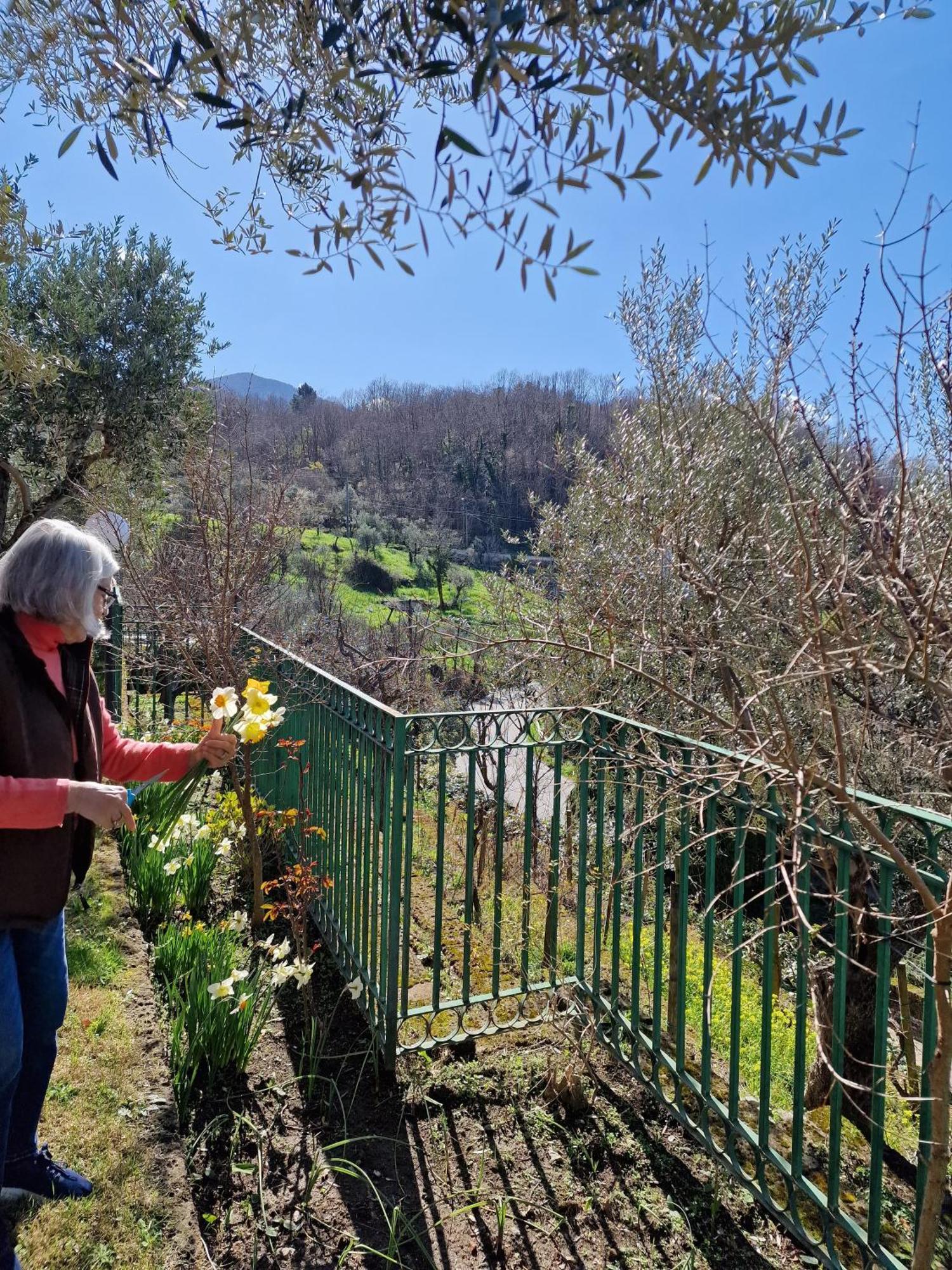 Villa Mandetta B&B Santo Stefano del Sole Exterior photo